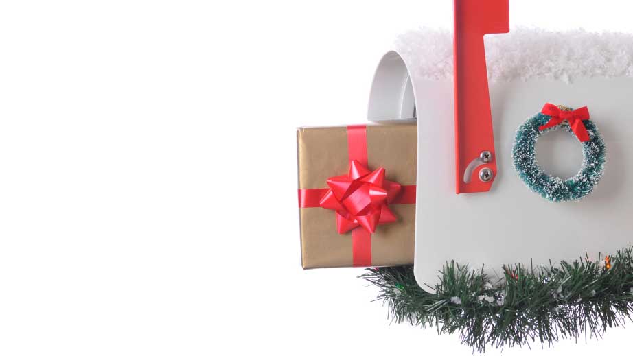 Read more about the article Holiday Shipping
